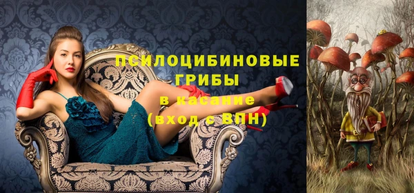 дмт Белоозёрский