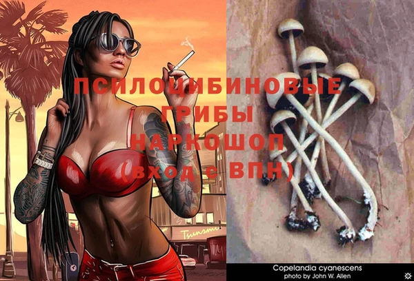 прущая мука Белокуриха