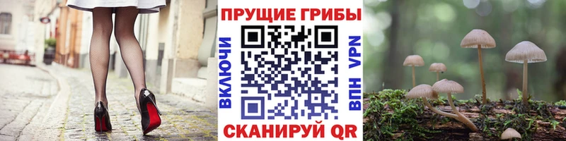 Купить закладки  Дудинка  Галлюциногенные грибы ЛСД 